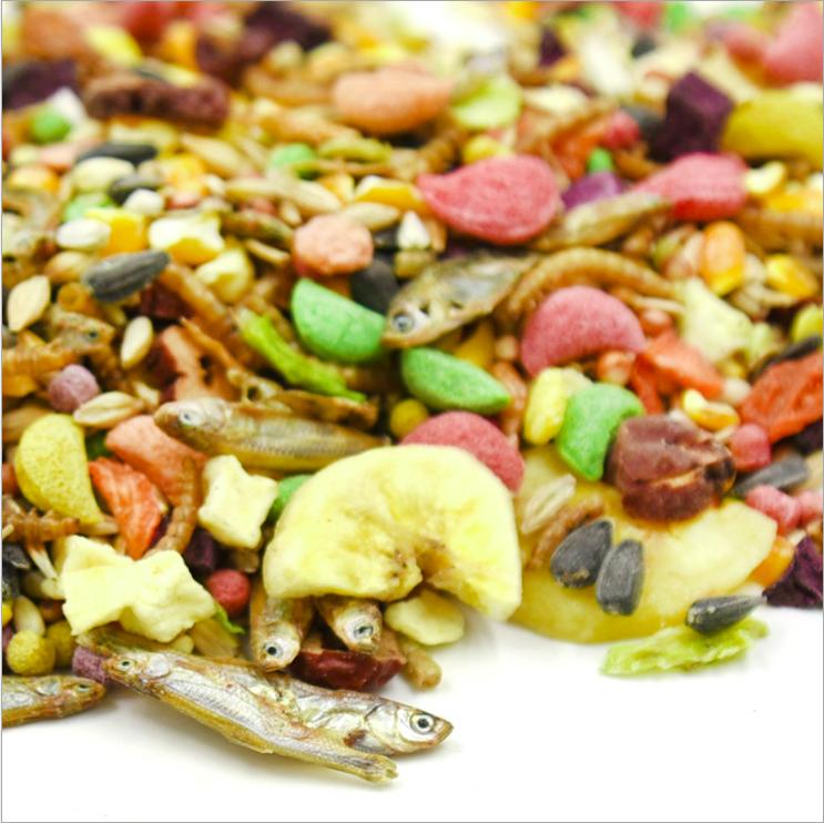 ✅Thức ăn protein dinh dưỡng, bổ sung protein cho chuột hamster