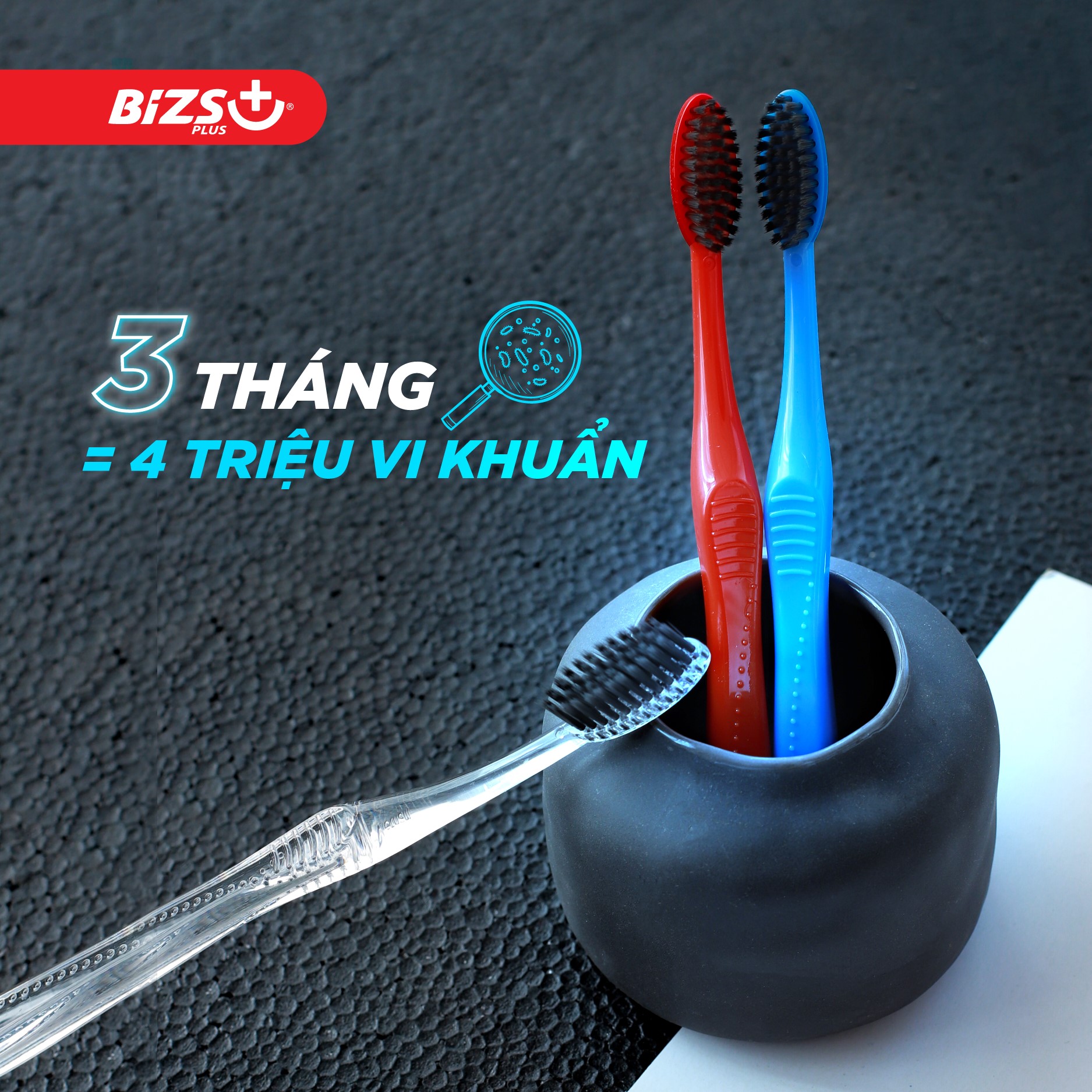 Bàn Chải Bizs+ Các Mã