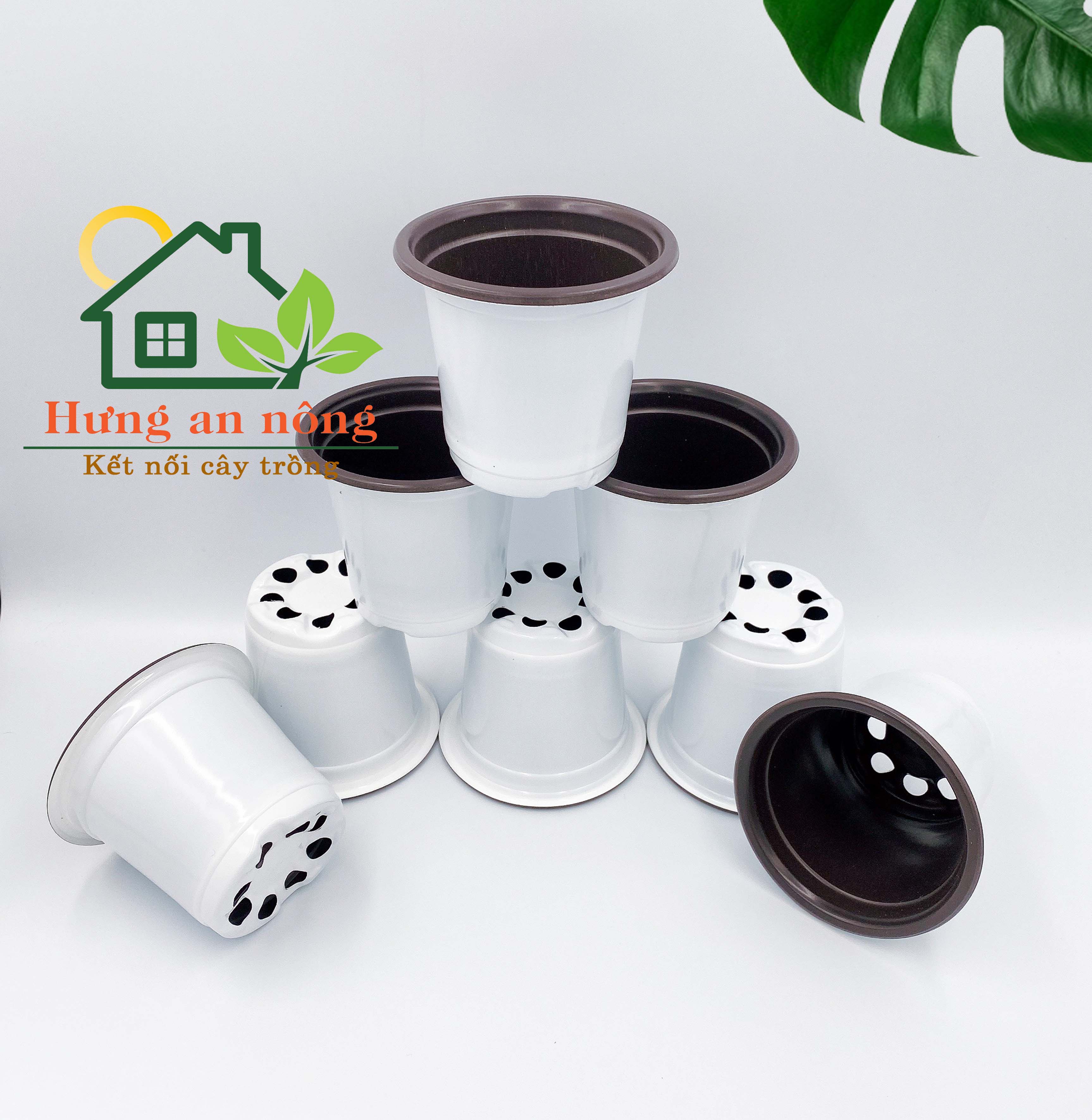 CT98M - Sét 50 cái chậu trắng tròn ươm trồng cây giống nhựa PP size 9x8cm