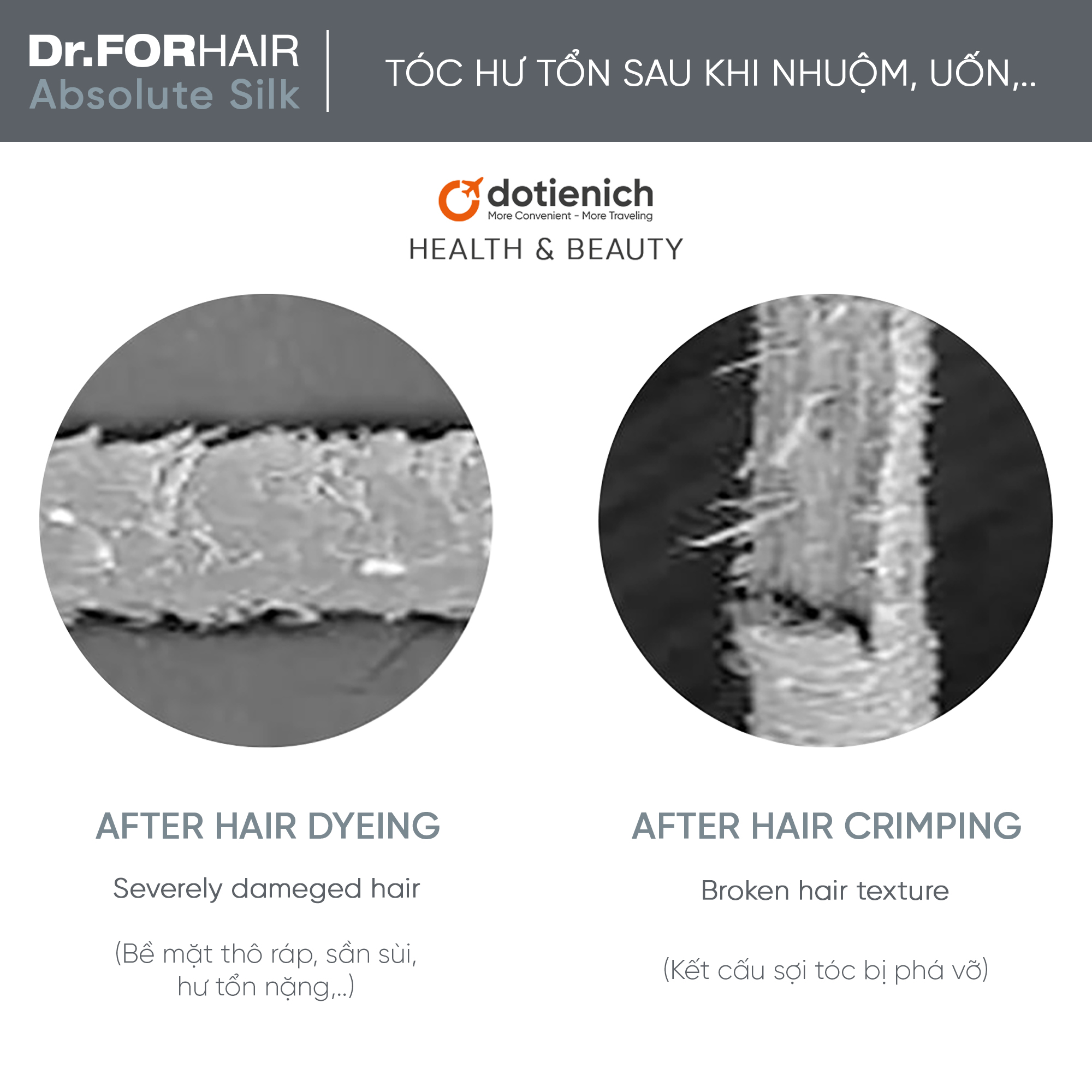 Combo Dr.FORHAIR Absolute Silk dưỡng tóc nhuộm, giữ màu tóc