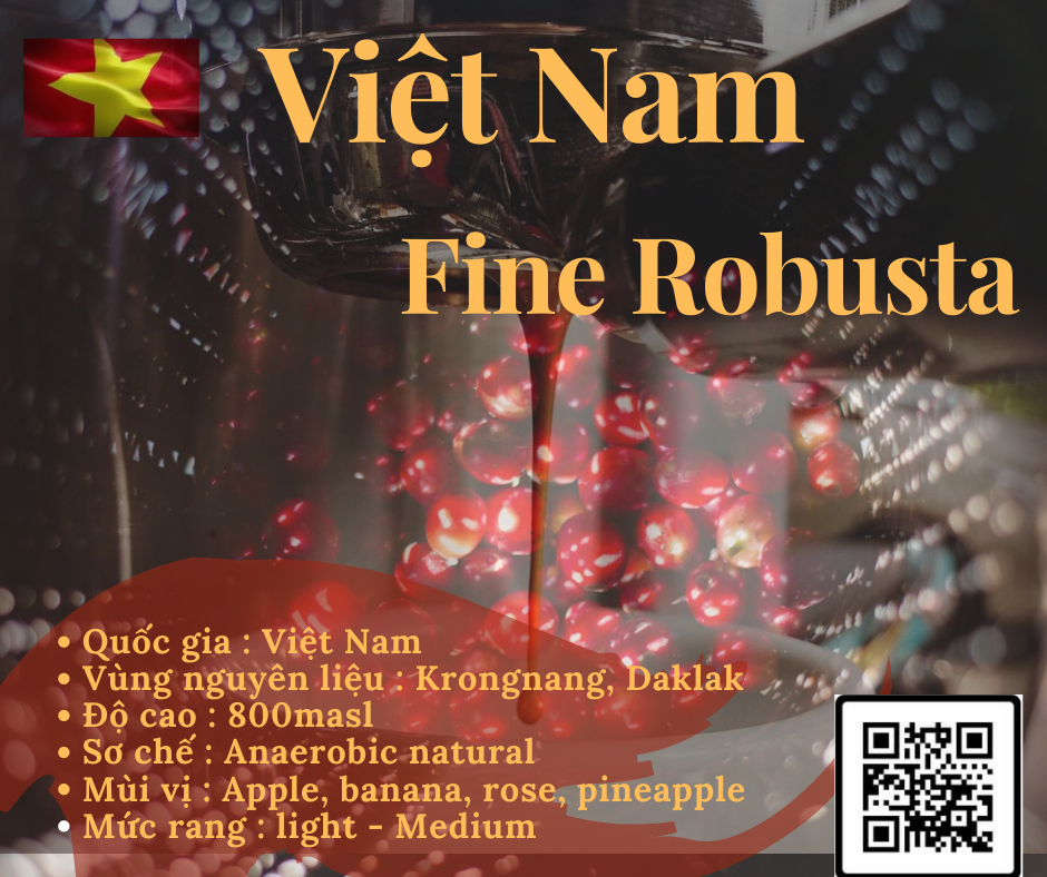 CAFE FINE ROBUSTA 200GR