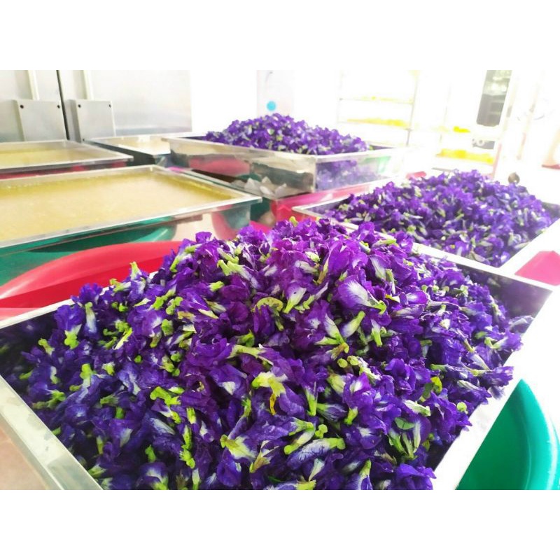 500g mứt rong sụn mix nhiều vị