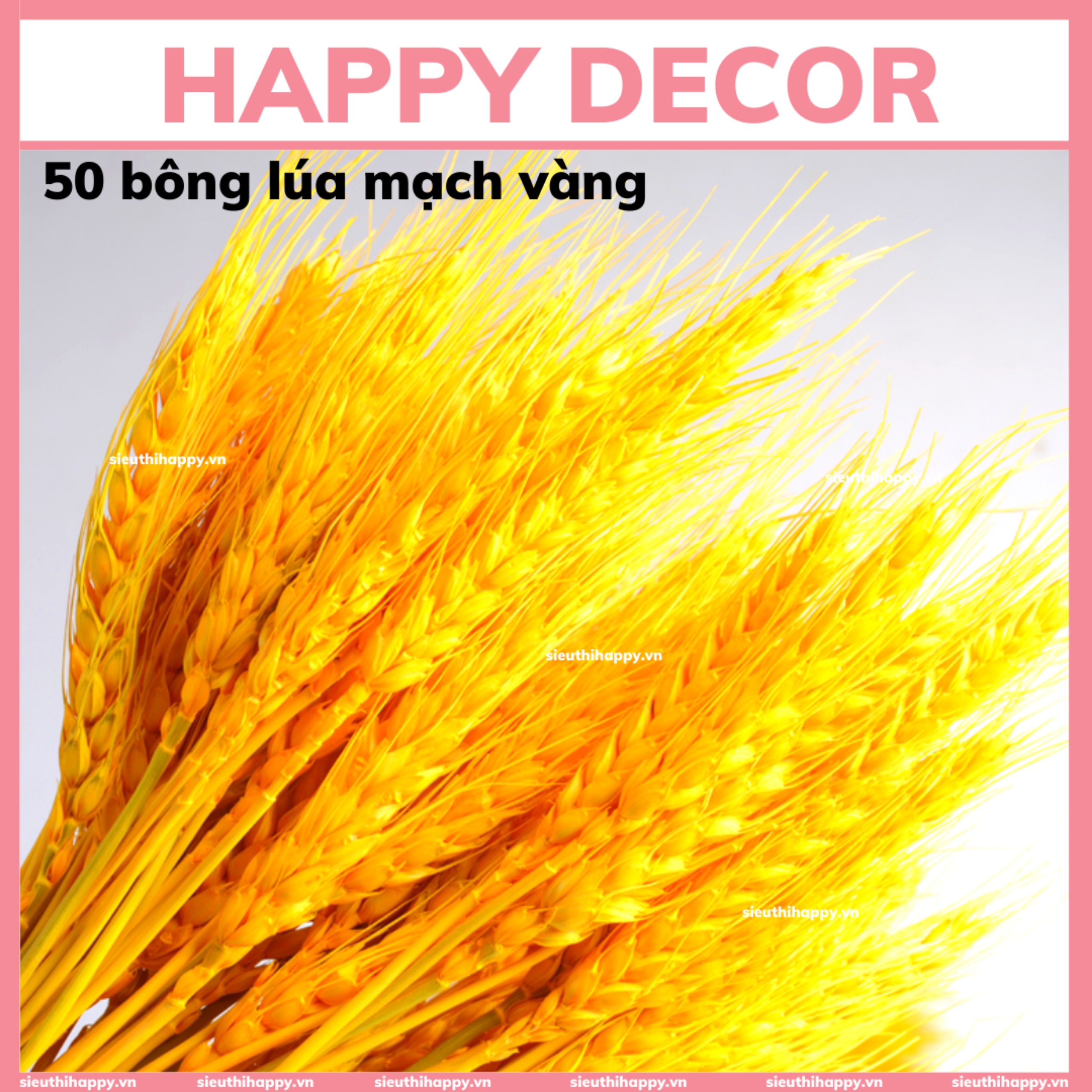 HAPPY DECOR] 50 Bông lúa mạch vàng sấy khô tự nhiên, bông lúa tài ...