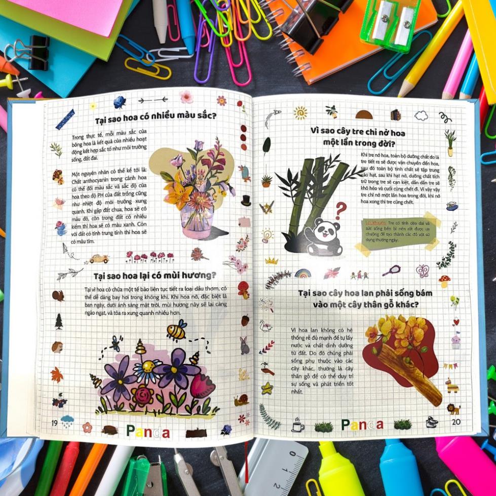 [Hardback] textbook includes 8 topics and questions to help children explore the world