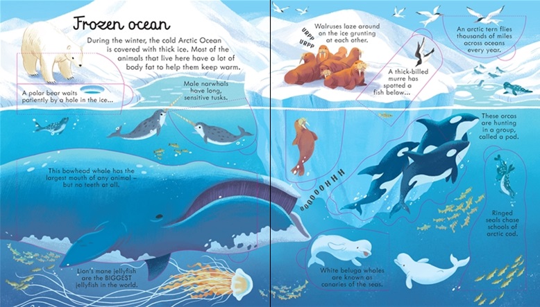 LOOK INSIDE SEAS AND OCEANS