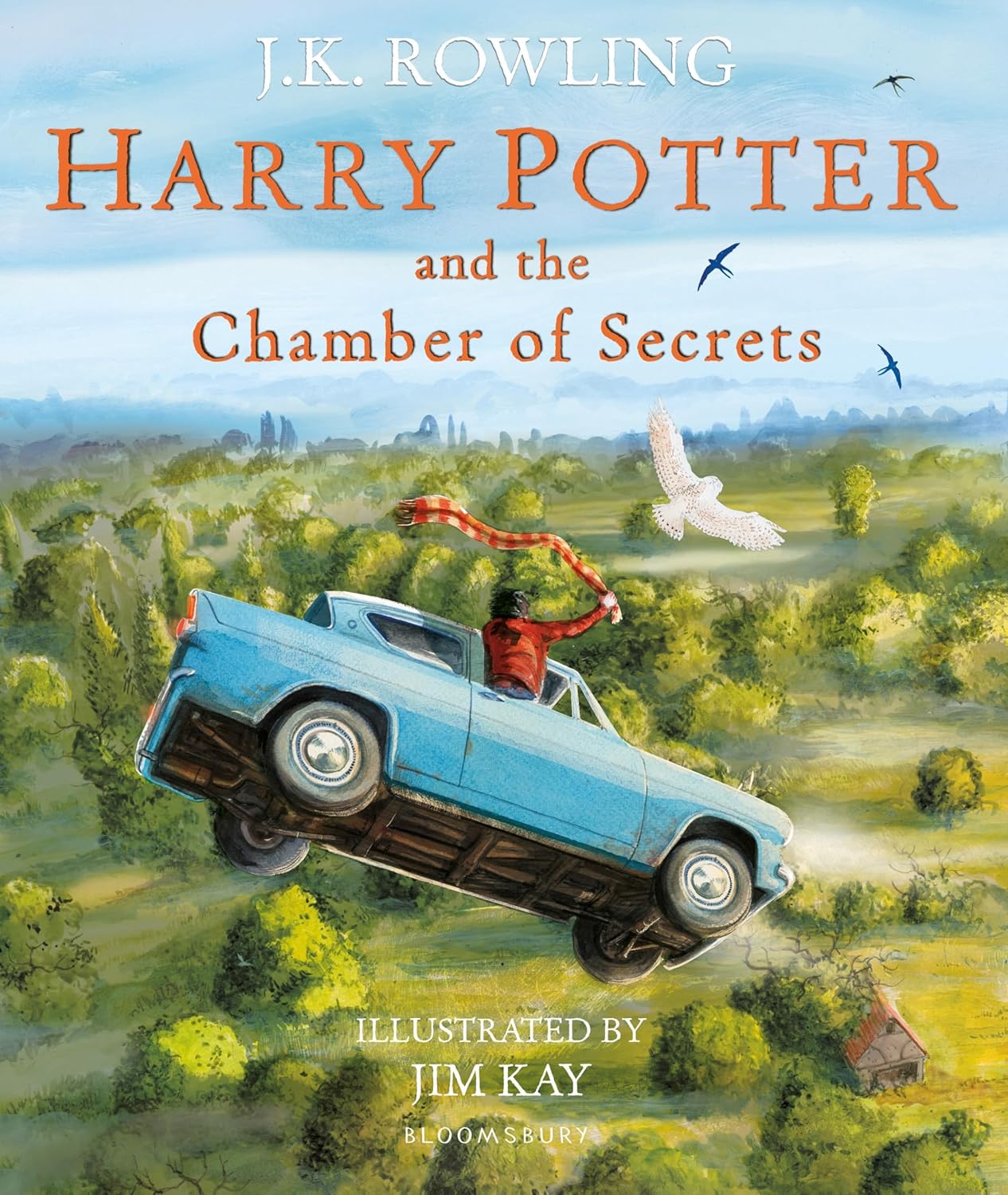 Harry Potter and the Chamber of Secrets Illustrated PB