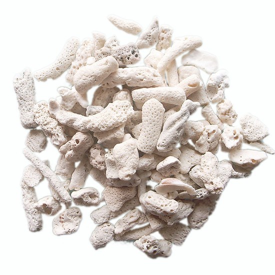 San hô lọc nước hồ cá 1kg