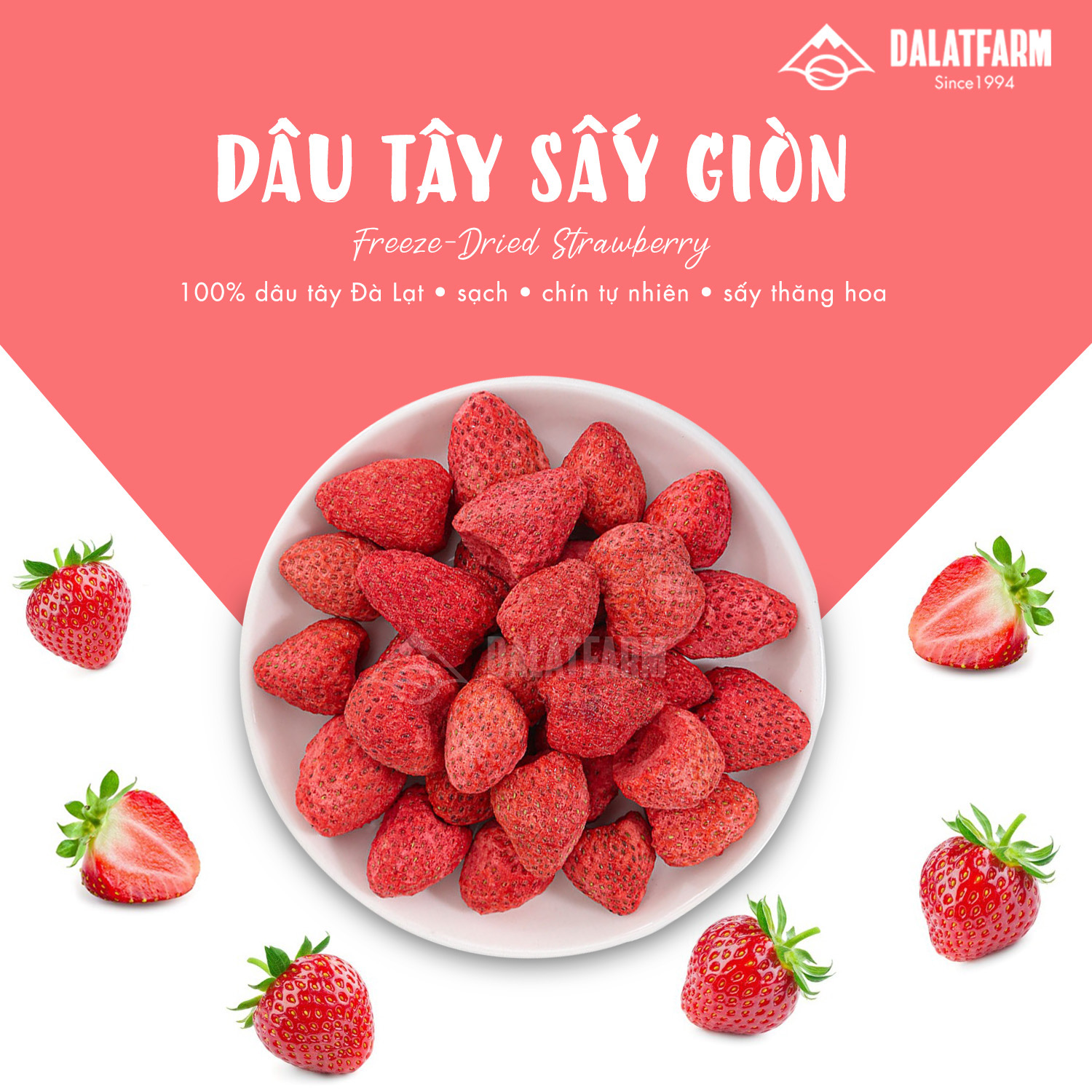 Dâu Tây Sấy Giòn - Túi 80g
