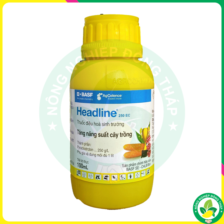 Thuốc điều hòa sinh trưởng headline 250ec – tăng năng suất cây trồng