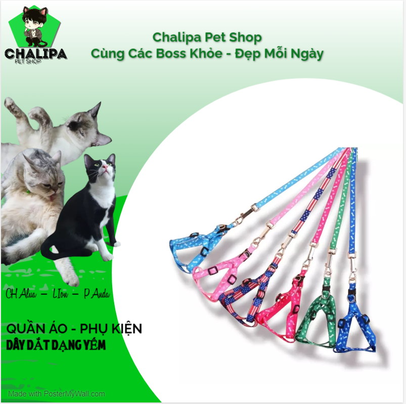 Dây Dắt Thú Cưng Dưới 5KG