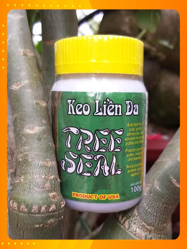 KEO LIỀN SẸO CÂY TREE SEAL ĐEN MỸ 100GR