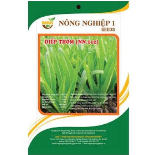 Hạt Giống Rau Diếp Thơm 10Gr