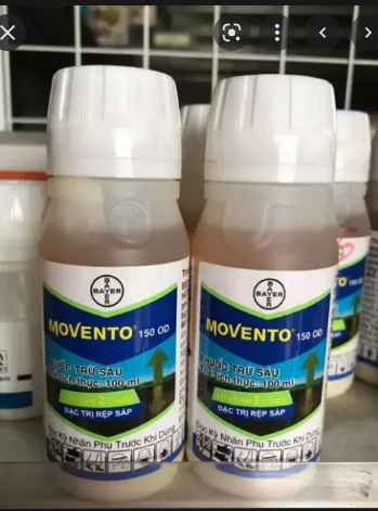 Movento chuyên diệt rệp sáp, bọ trĩ - lọ 100 ml