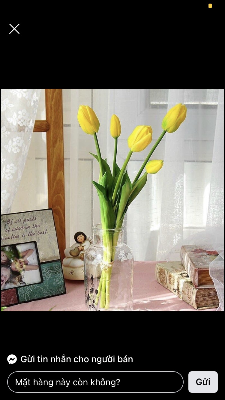 Bó hoa tulip cao cấp 3 bông 2 nụ