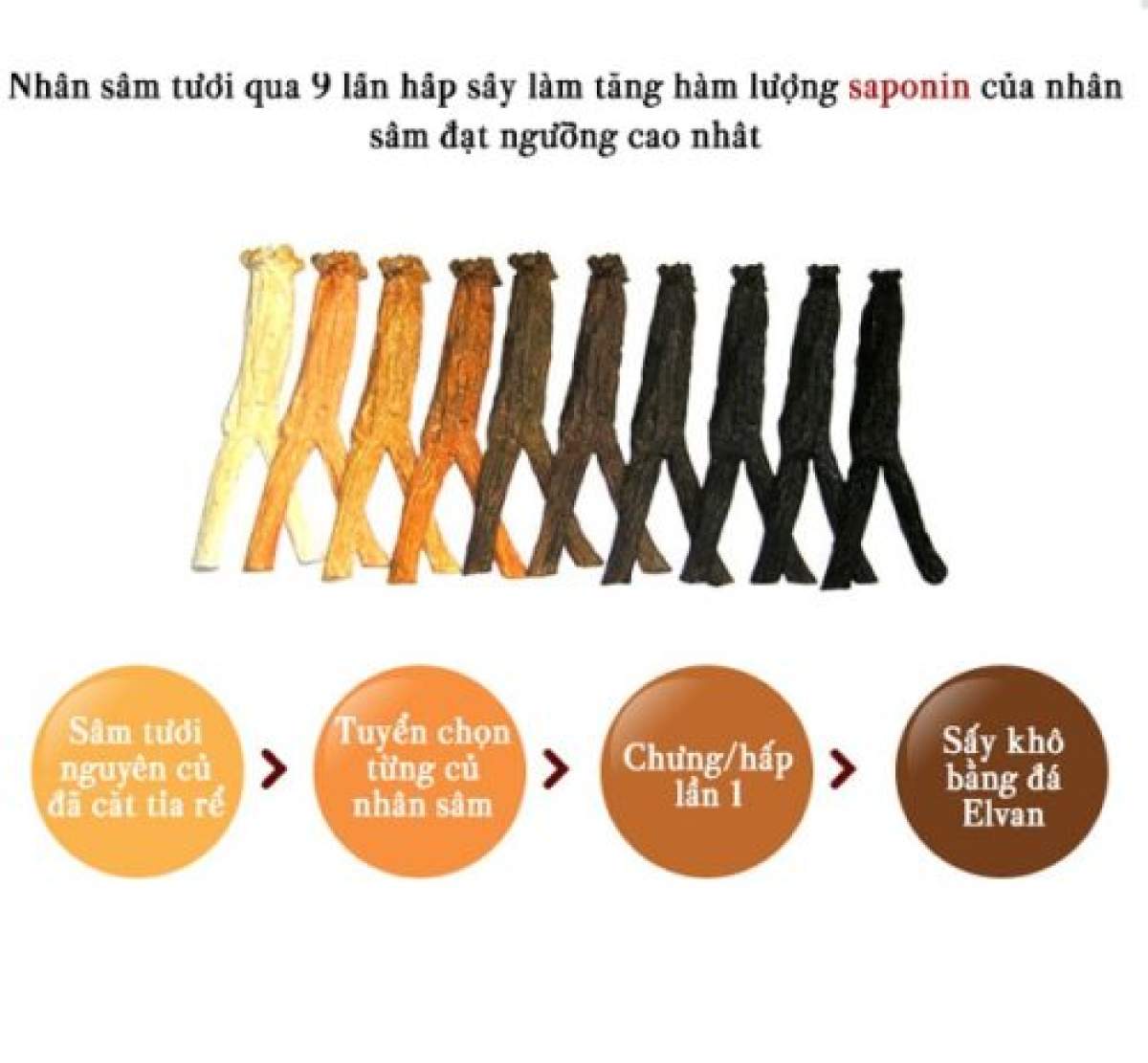 Hắc sâm củ khô Daedong hàn quốc 150g (16-25 củ)