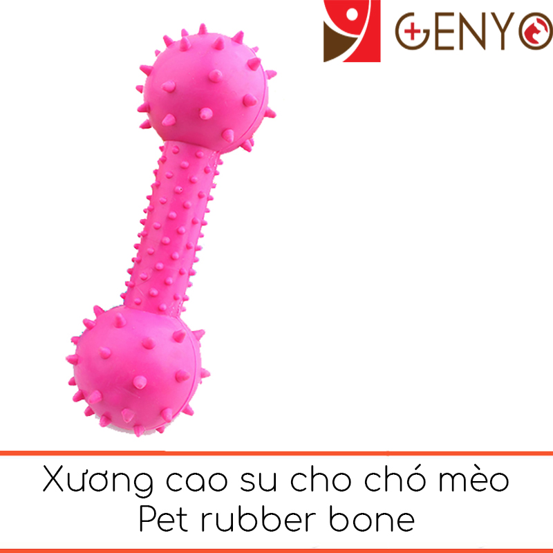 [HCM]Đồ chơi xương gặm sạch răng cho chó (màu ngẫu nhiên)