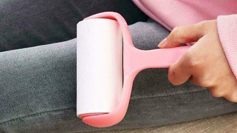 Cây Lăn Bụi Làm Sạch Quần Áo, Ga Giường, Sofa