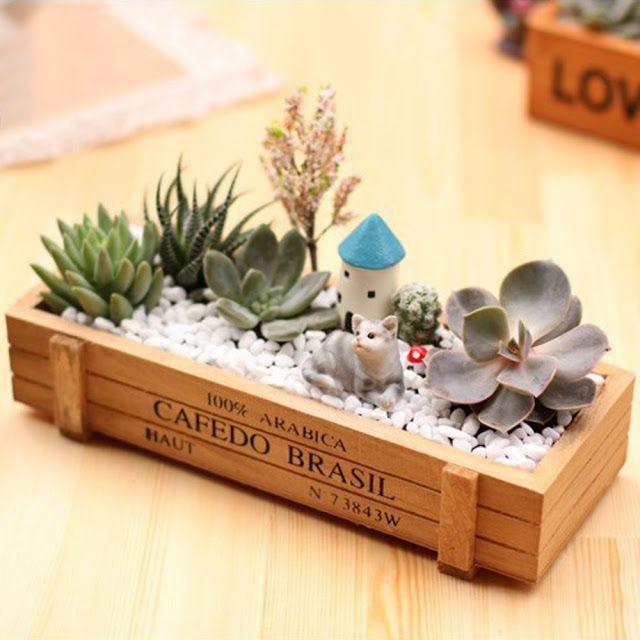 Chậu trồng cây cảnh: Mẫu chậu gỗ Cafedo