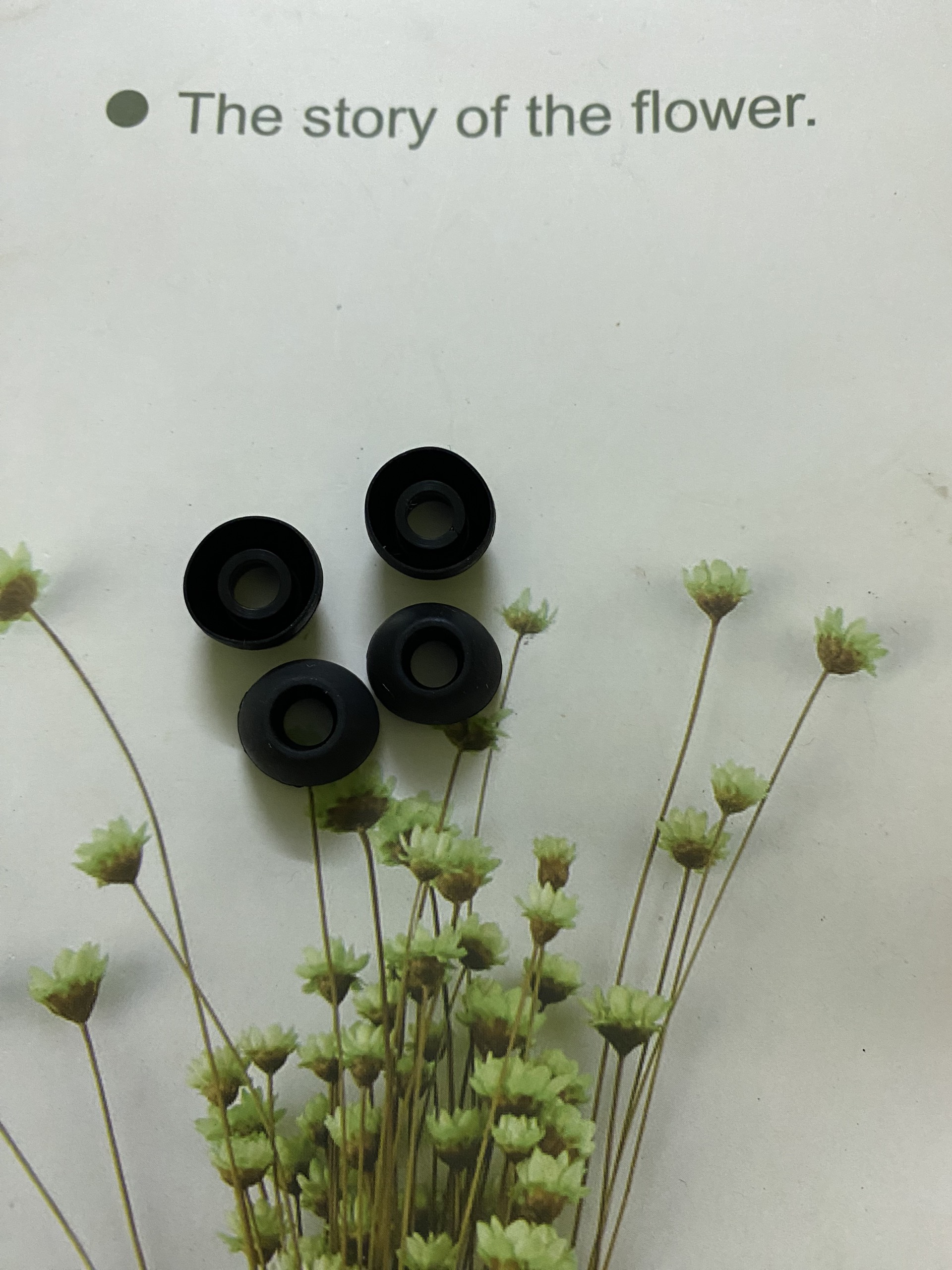 Set of 6 Earbuds/Earplugs/Ear Cushions