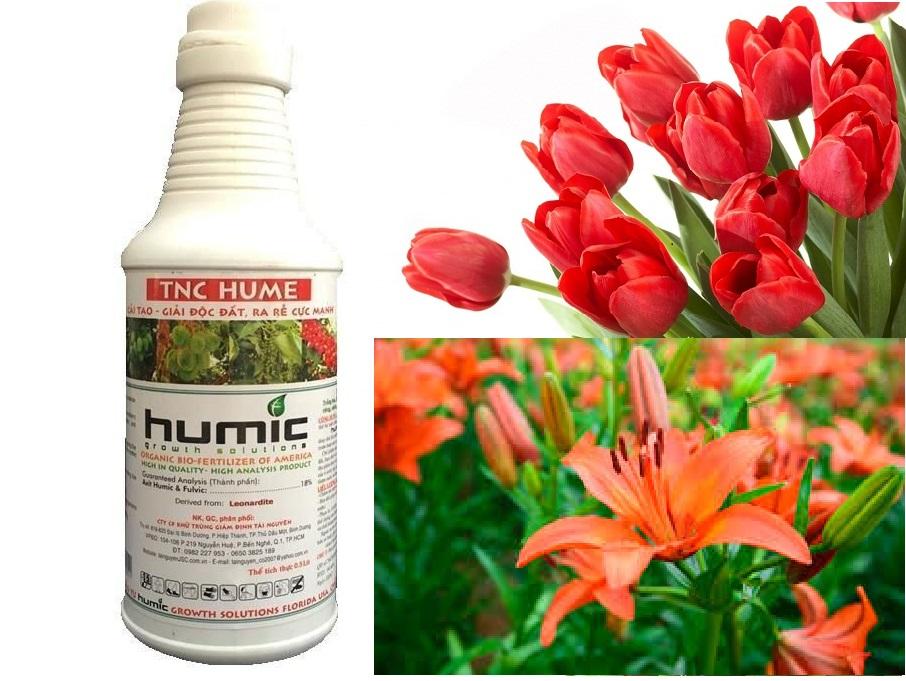 Phân bón lá TNC Hume cải tạo đất 500ml