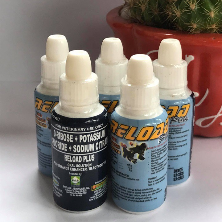 Thuoc Ga Da RELOAD PLUS - Chai x 15ML