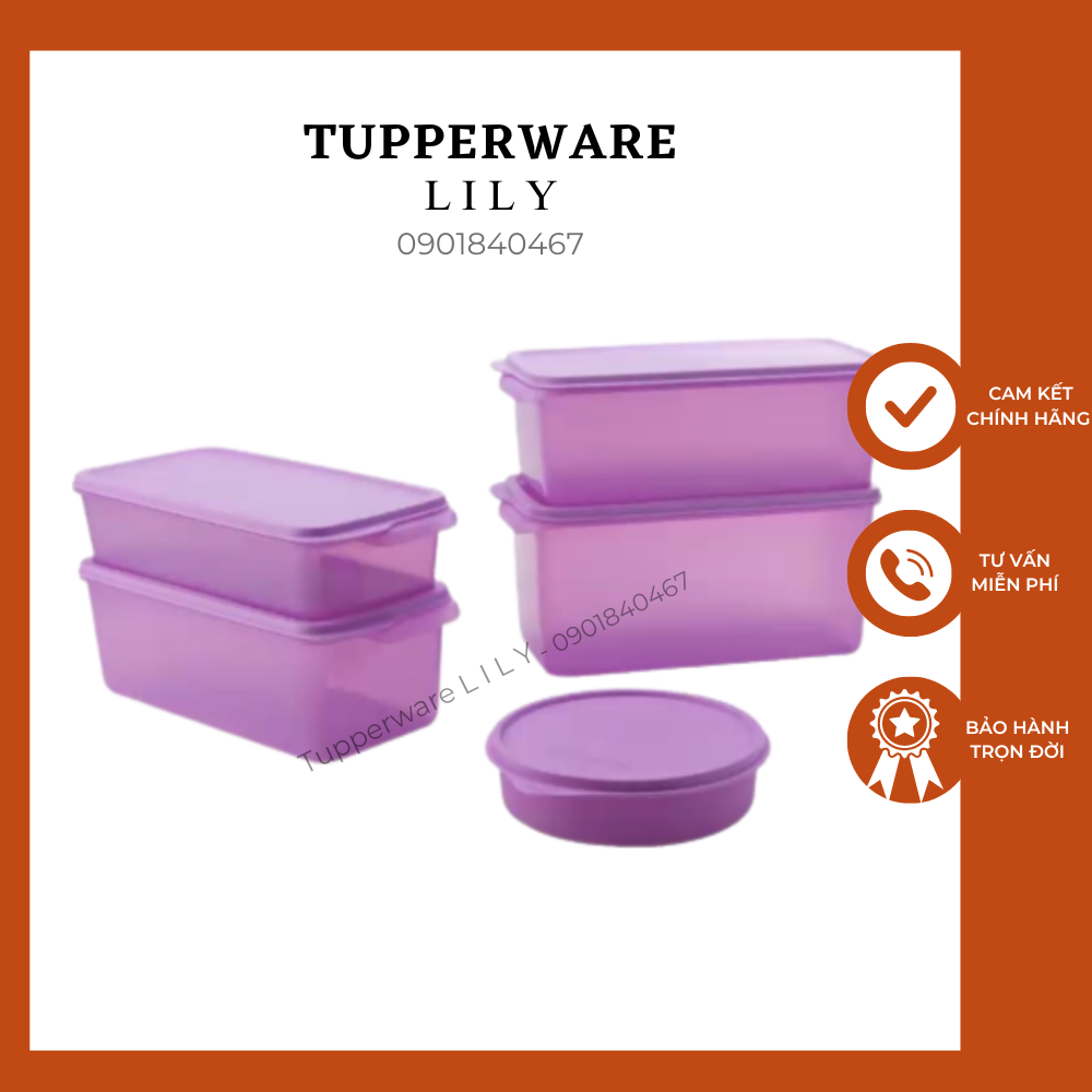 Bộ hộp trữ mát Freshia tím (5 hộp) Tupperware