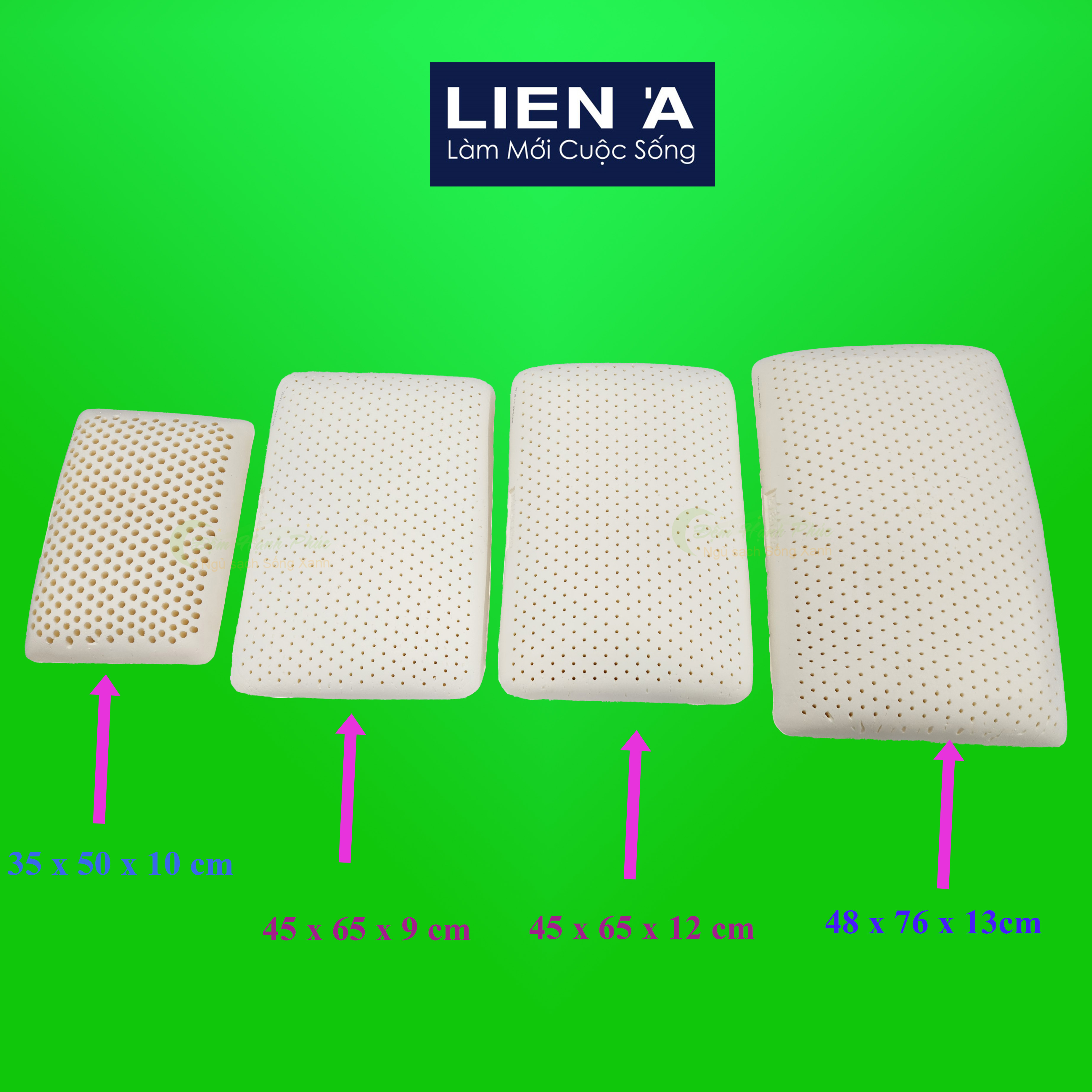 Gối Cao Su Liên Á Oval- CHÍNH HÃNG