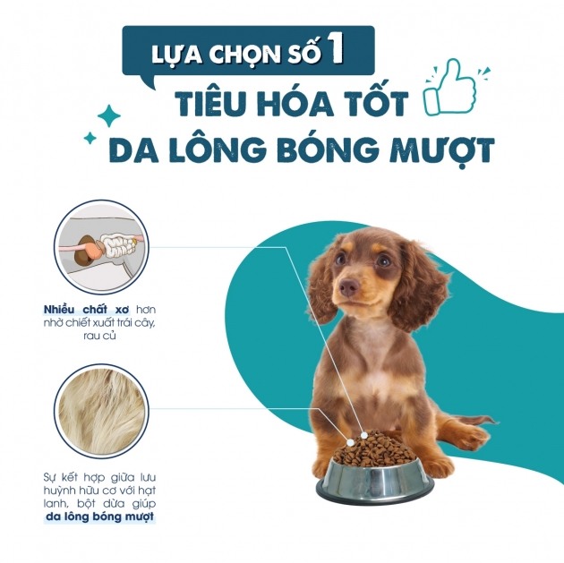(5kg) Today's Dinner Dog - Thức ăn hạt  cho chó lớn/chó nhỏ/chó mọi lứa tuổi cân bằng dinh dưỡng cho chó nhập khẩu Hàn Quốc