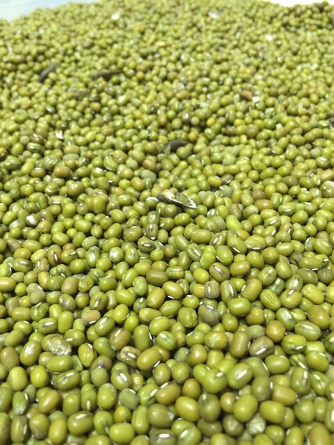 500gr đậu xanh sạch nguyên hột