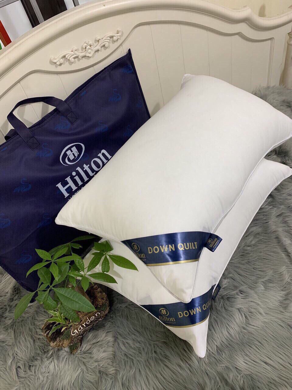 Ruột gối nằm ruột gối hơi cao cấp hitton