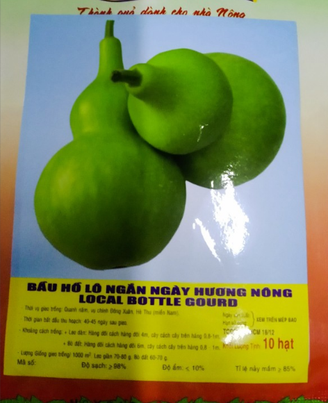 Hạt giống bầu hồ lô - gói 10 hạt