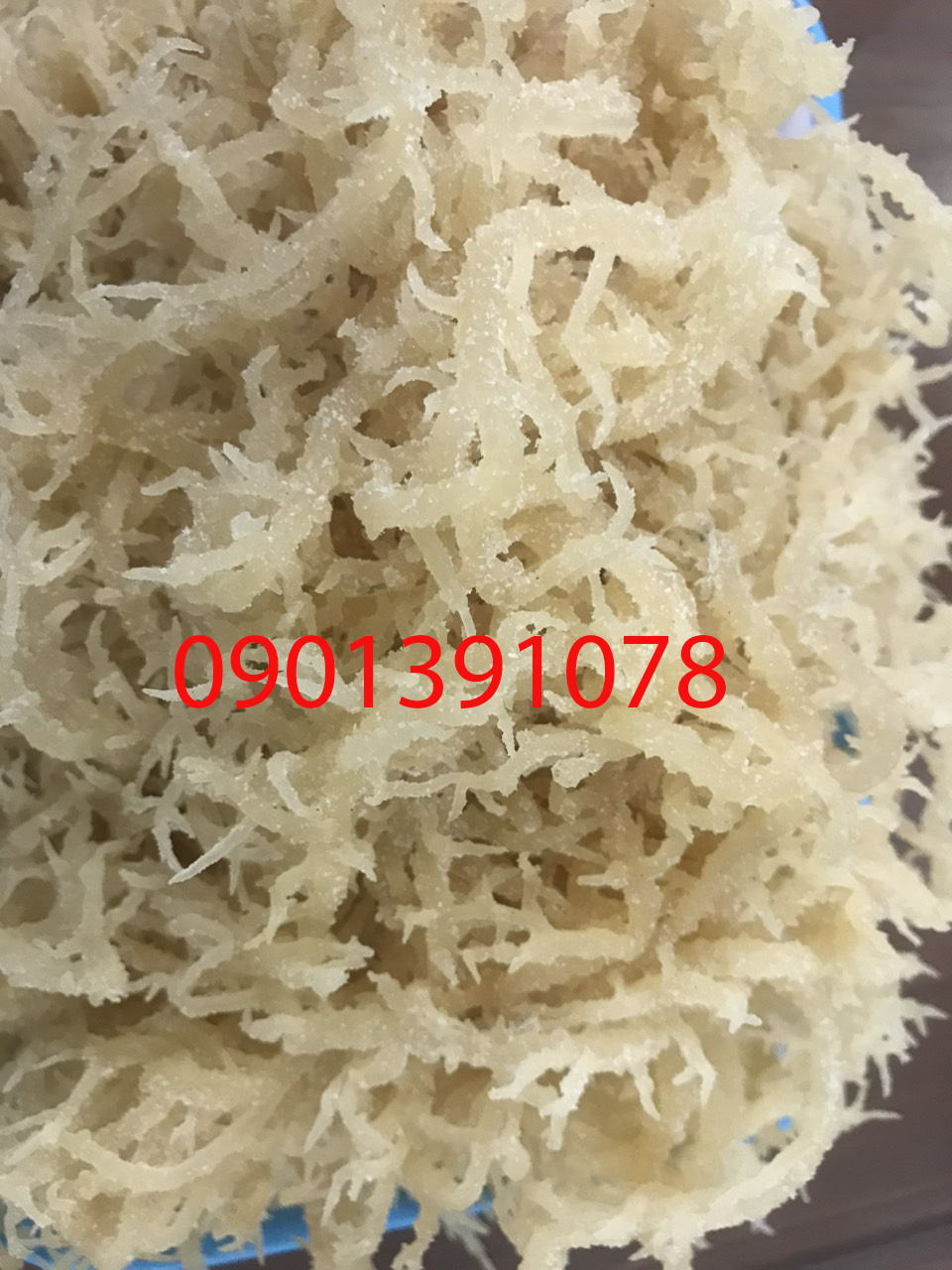 Rong sụn gai nha trang 500g - loại 1+