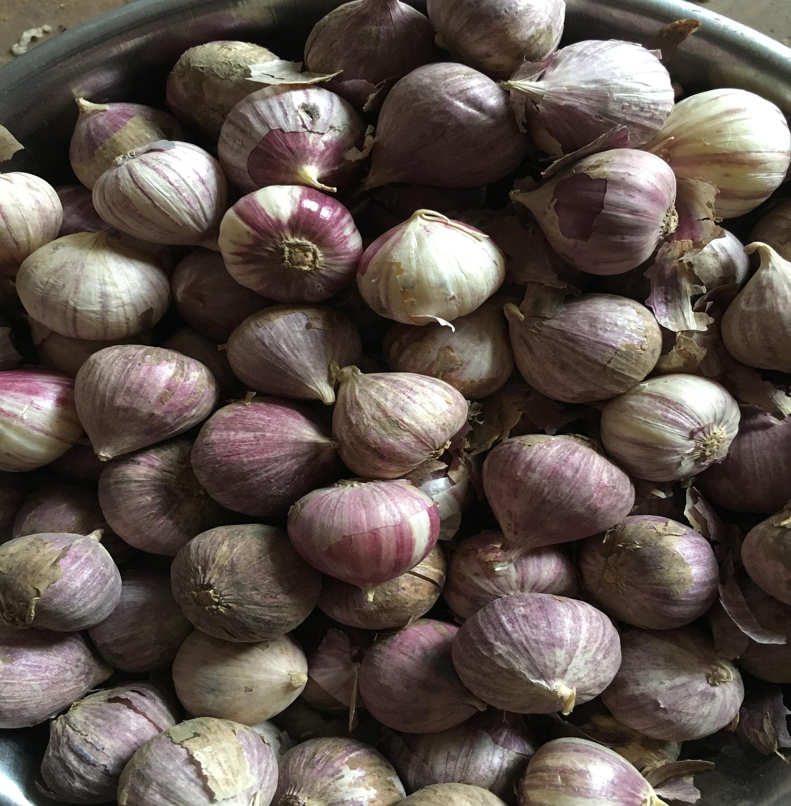 TỎI CÔ ĐƠN -LÀM TỎI ĐEN 2KG