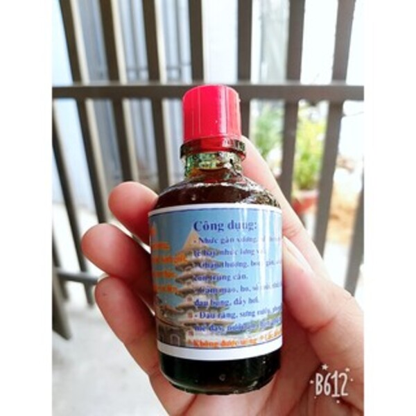 chai dầu xoa bóp cây mật gấu