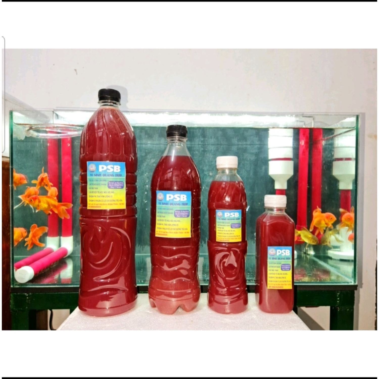 Vi sinh quang hợp PSB