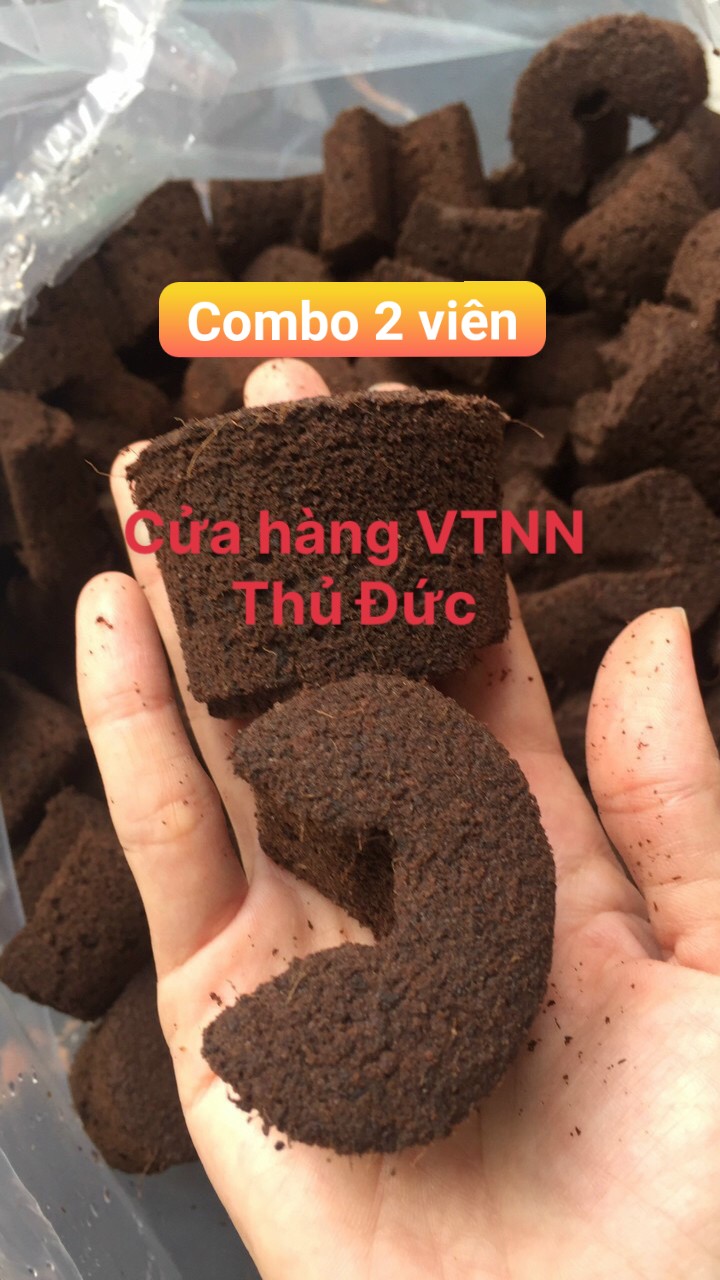 Mút hữu cơ ươm kie combo 2 viên