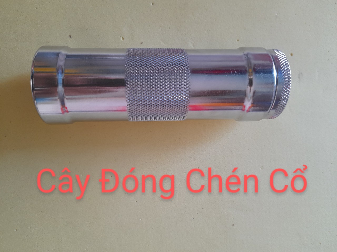 Cây Đóng Chén Cổ