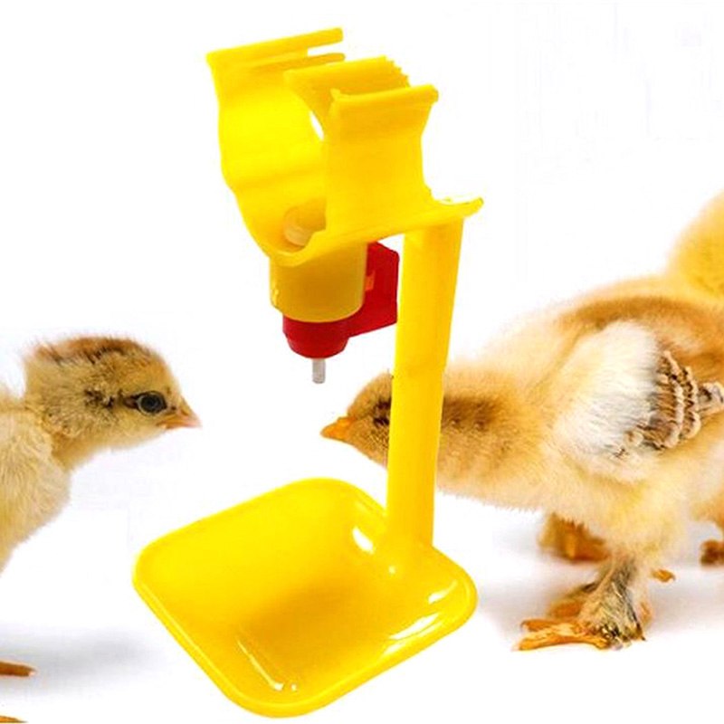 Combo 10 bộ Máng và núm uống tự động cho gà