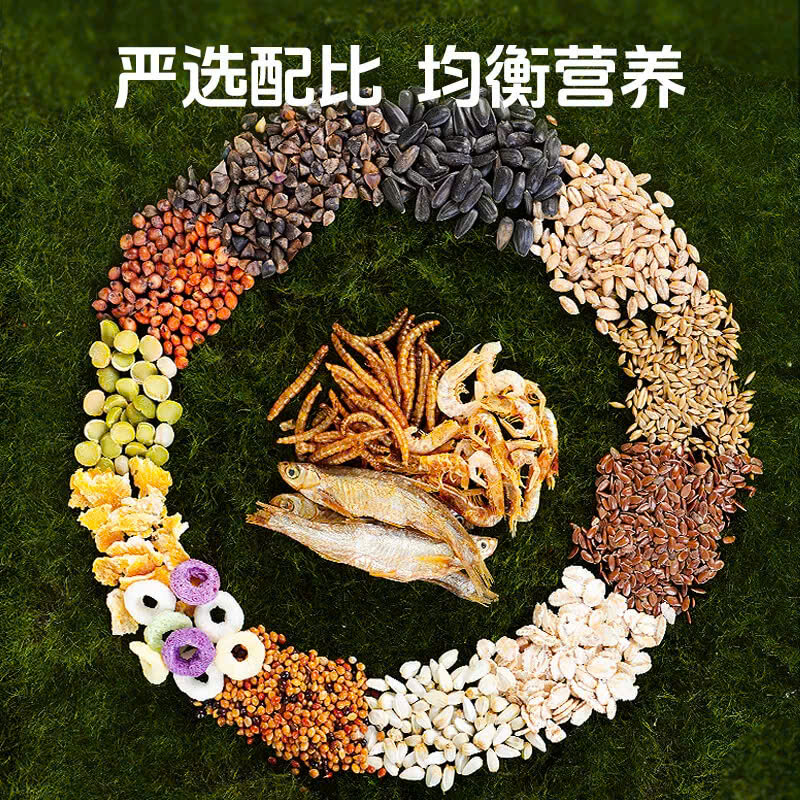 1kg Premium Tropical Hamster Food Large Grain