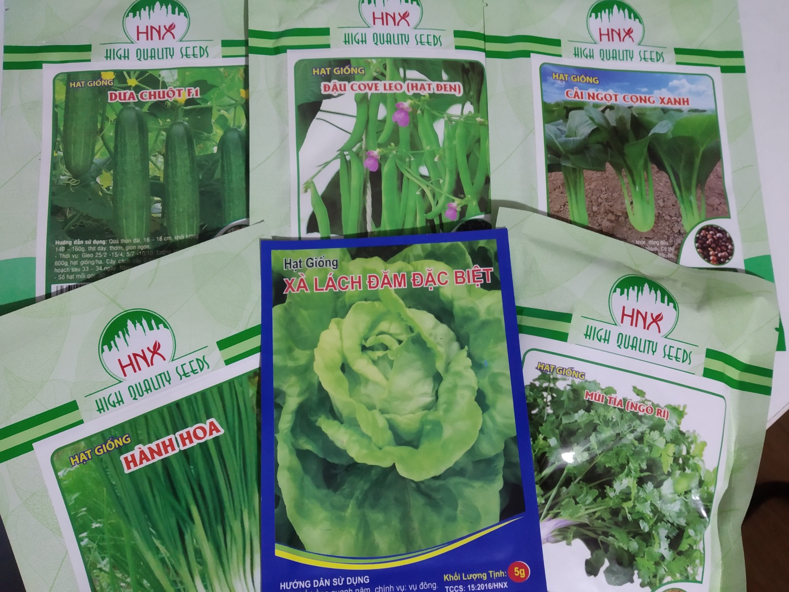 Hạt giống ĐẬU COVE LEO (Hạt đen) gói 50 gam