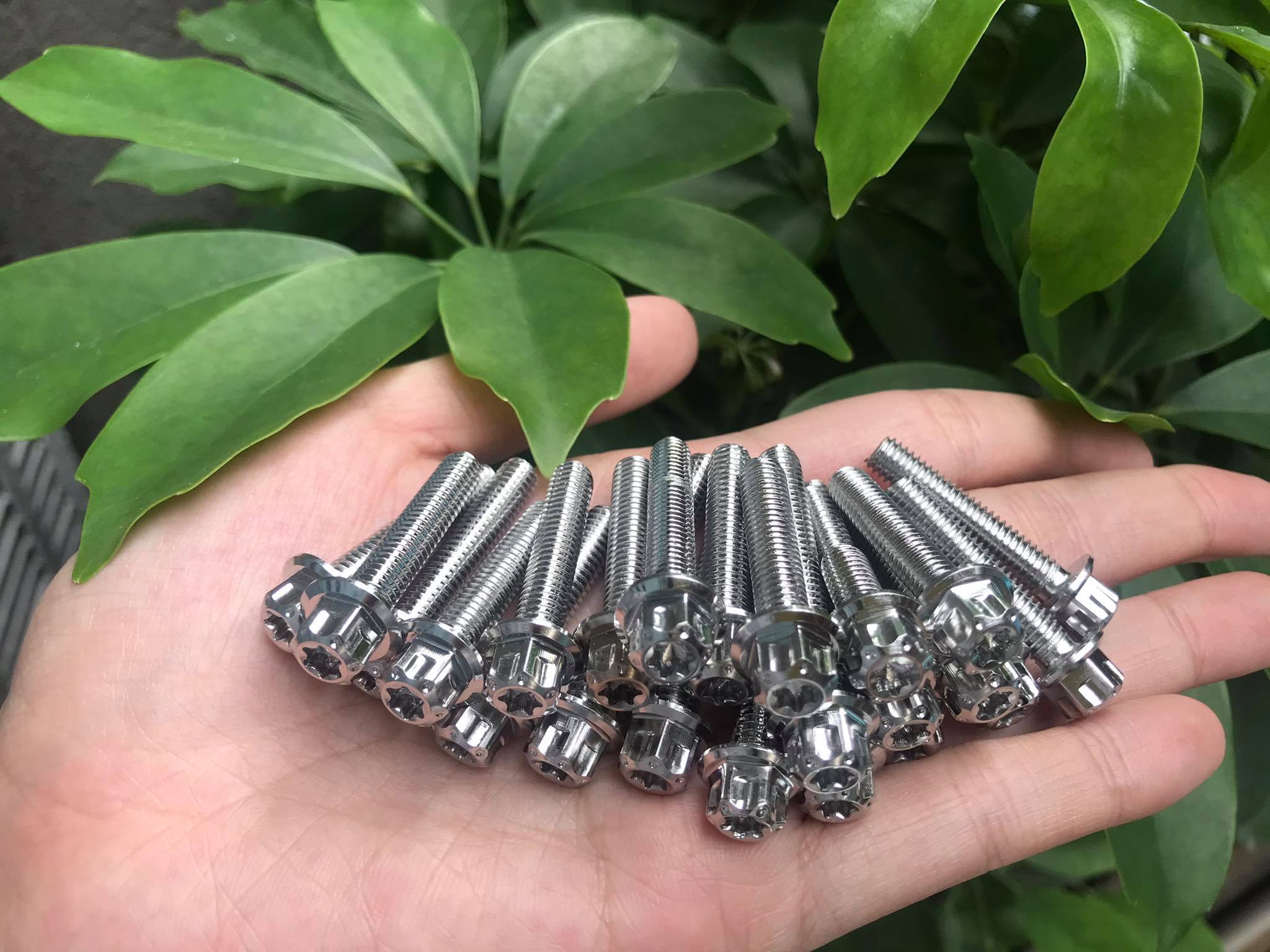 Bộ ốc lóc máy salaya cho ex135,150,winner,winnerx,satria,wave,sirus