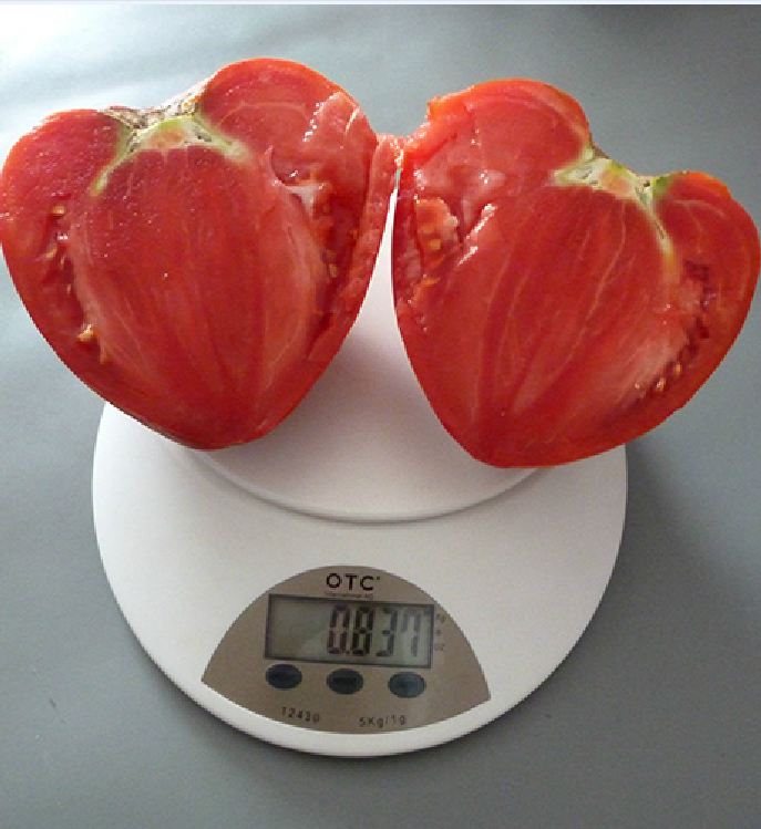Hạt giống cà chua đỏ trái tim - gói 30 hạt