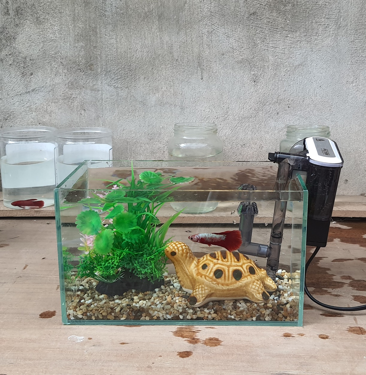 Bể cá mini 24 cm với 5 món (bể 24, sỏi nền, máy lọc, cây nhựa vừa, pk nhỏ)