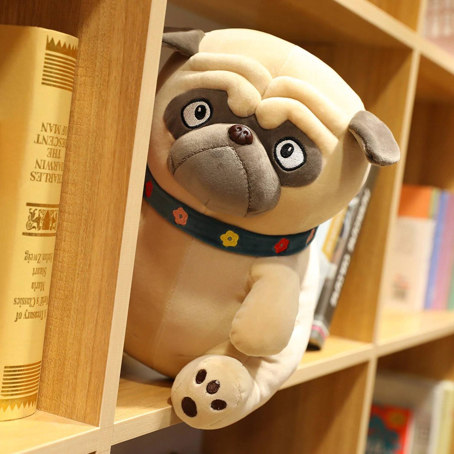 Chó Bông Mặt xệ Pug gấᴜ Bông cao cấp đủ size
