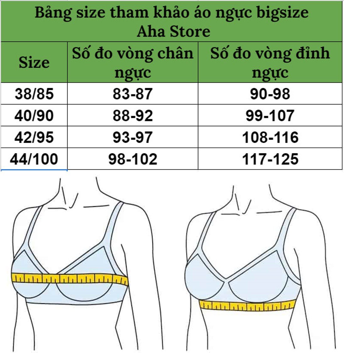 Áo ngực ren bigsize Coolakiss đệm mỏng có gọng