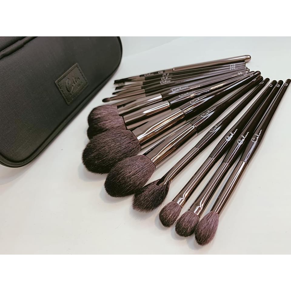 Bộ cọ Celin 14 cây