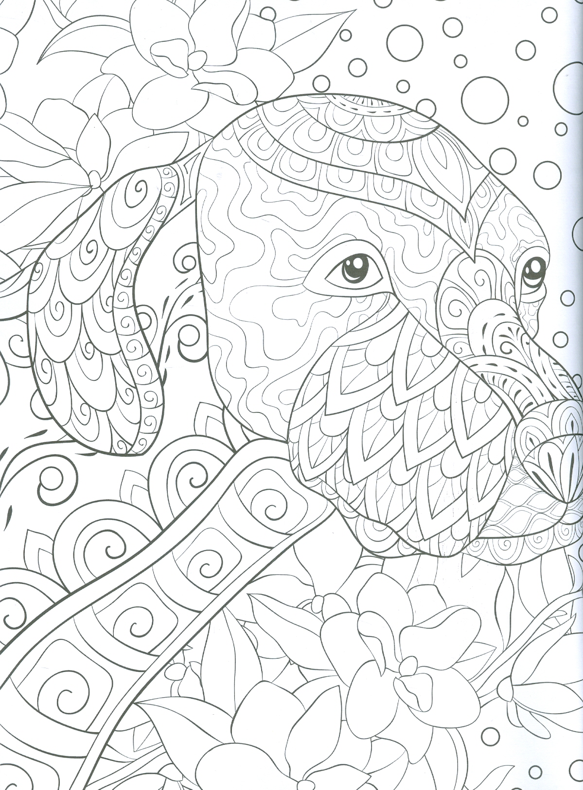 Wilderness - Adults Colouring Book (Sách Tô Màu: Động Vật)
