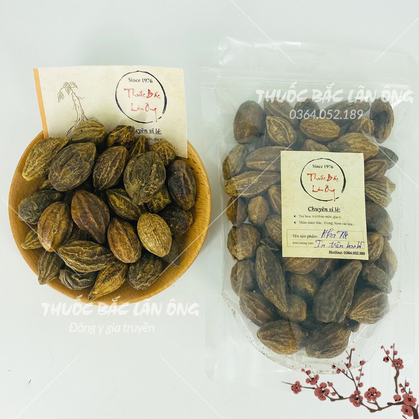 Quả kha tử khô 500g, trái kha tử, hạt to, dùng ngâm mật ong, nấu siro, ngậm ho, tiêu đờm - Lãn Ông