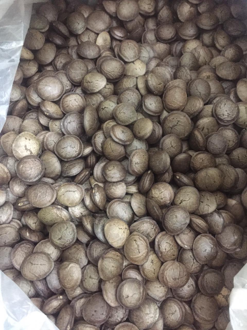 1Kg hạt sachi rang chín ăn liền