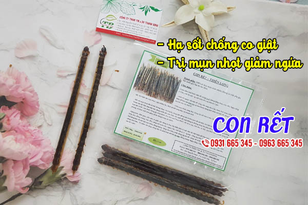 Con Rết Khô (Thiên Long) 1 Con - Thảo Dược Thanh Bình